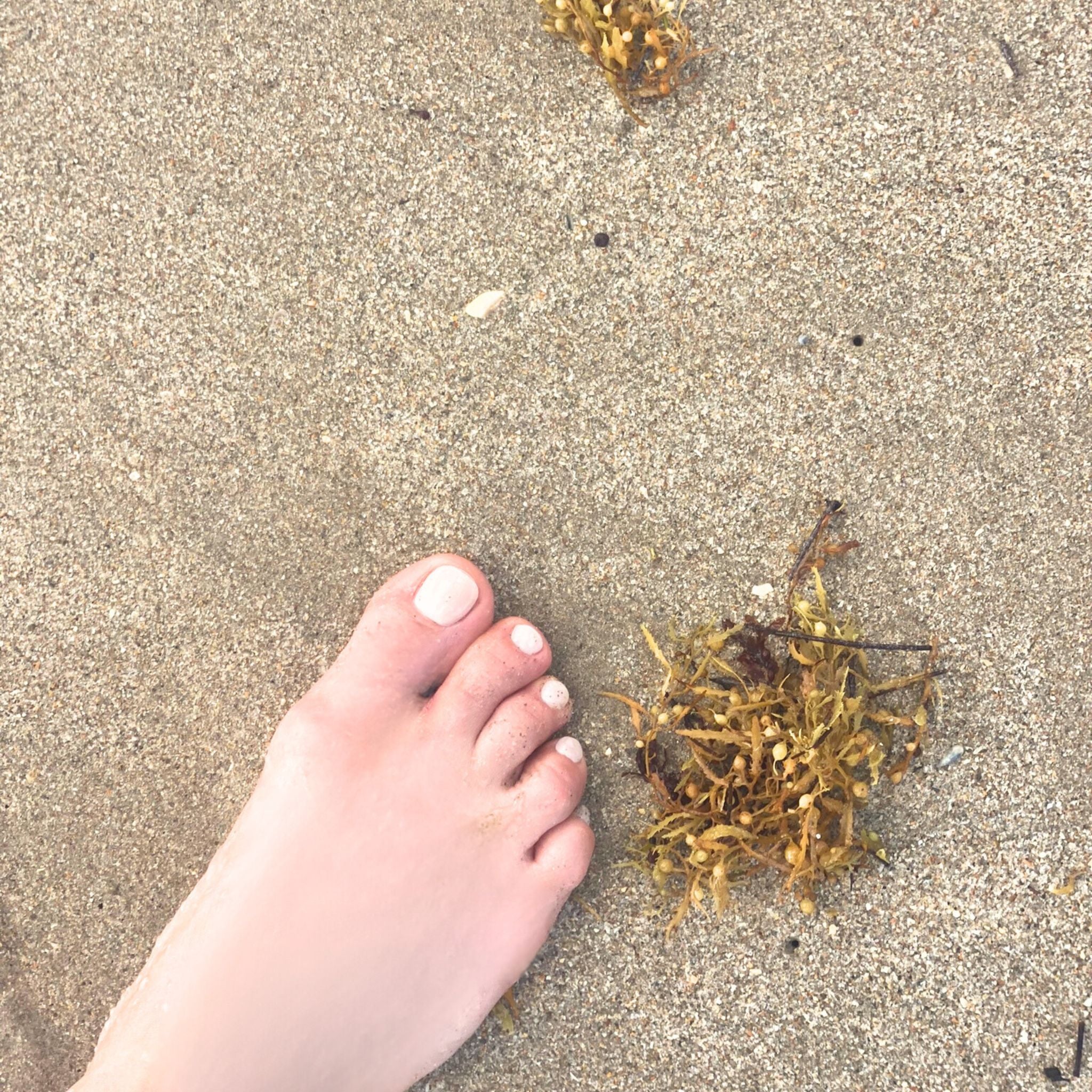 Milky White Pedicure