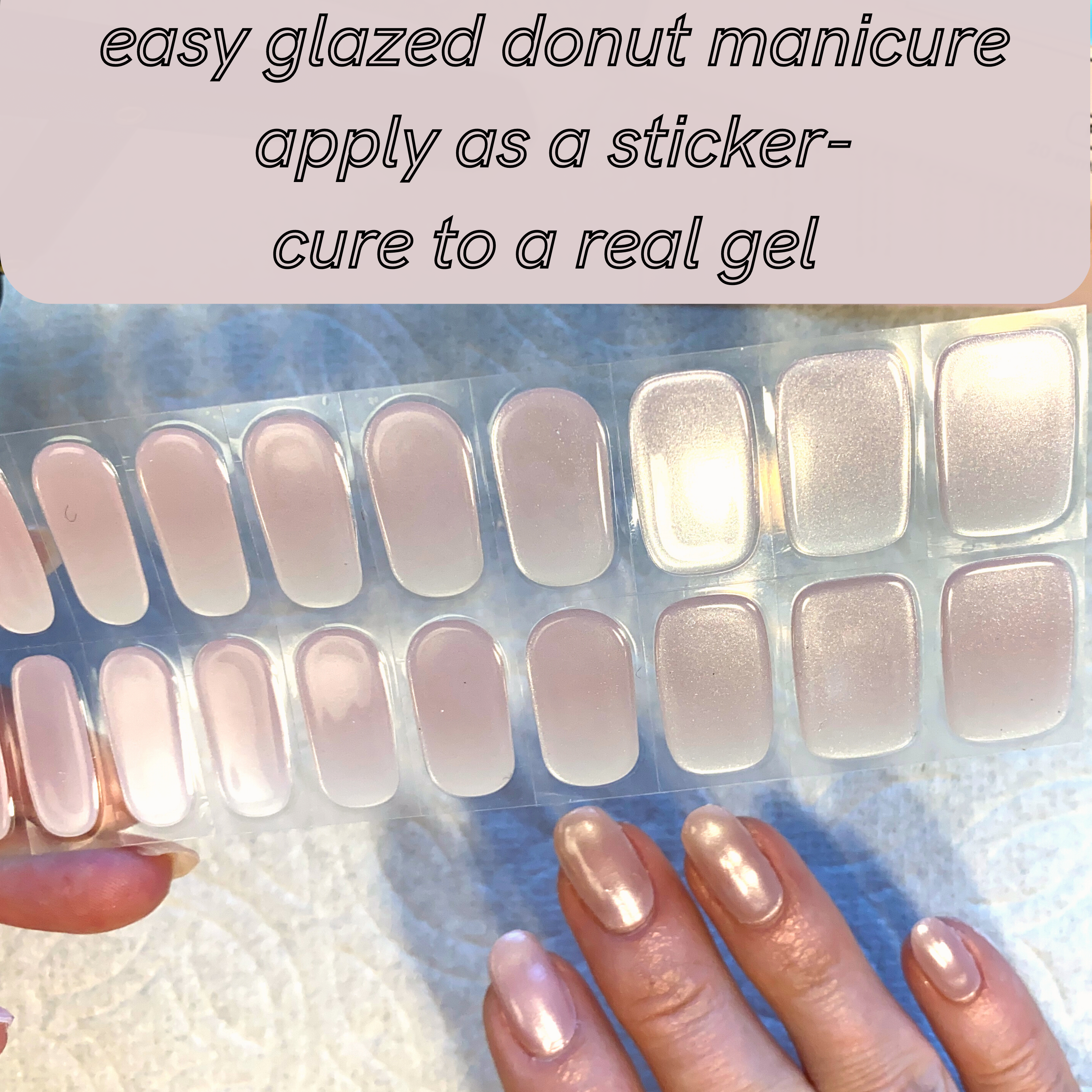 Glazed Rose