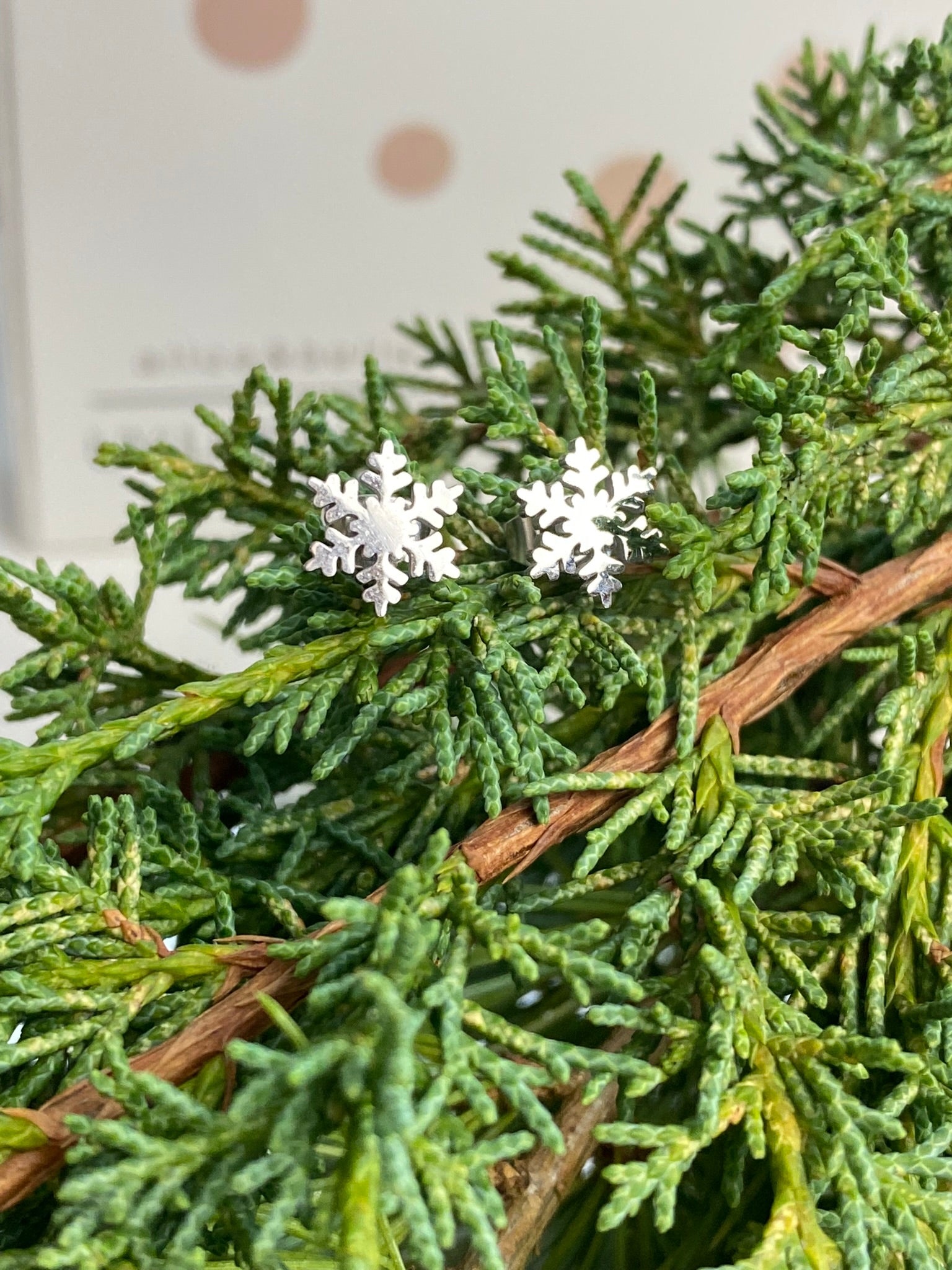 Snowflake Earrings in a Cute Macaroon Box